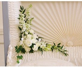 Moonlit Walk Casket Insert