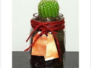 Cactus Jar
