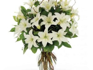 Peaceful White Lillies