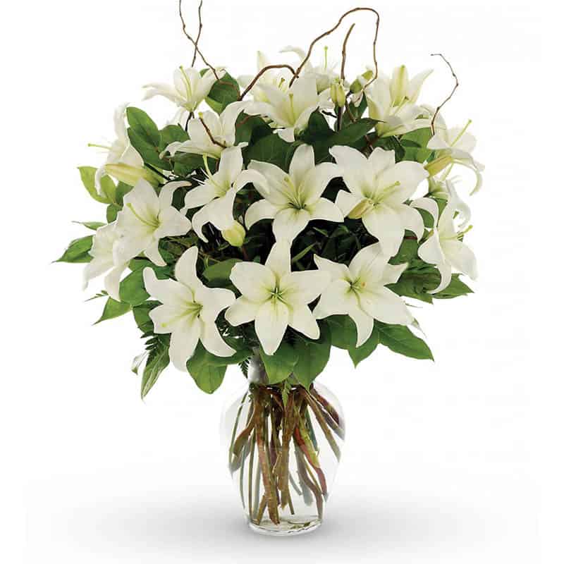 Peaceful White Lillies
