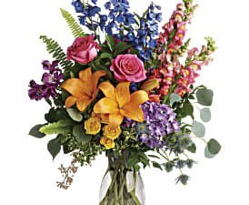 Colours Of The Rainbow